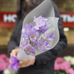 5 фиолетовых фрезий